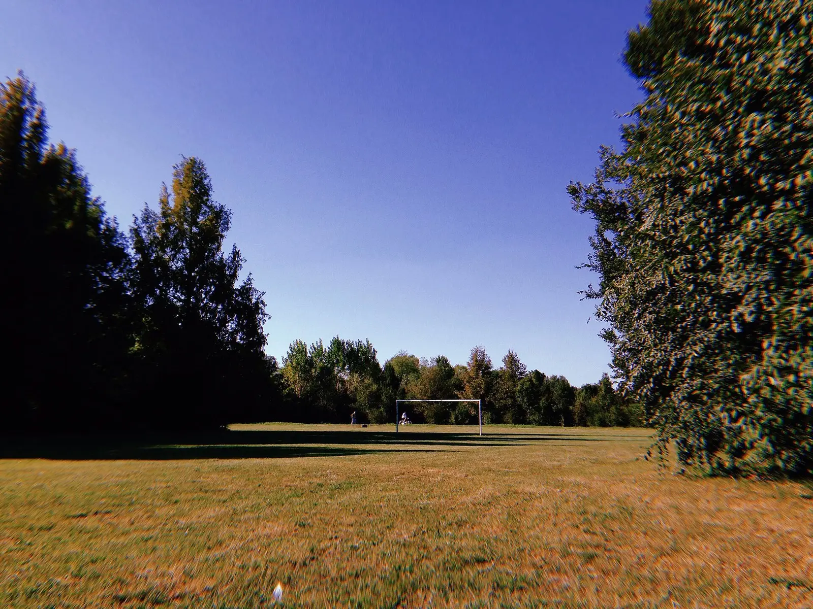 Parco delle Cave, 2018